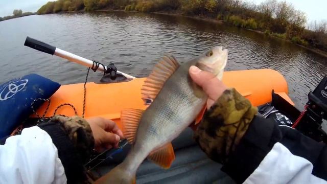 ОКУНИ АТАКУЮТ МОЮ РЕЗИНУ, НА ОЗЕРЕ ТУМАН. смотреть онлайн