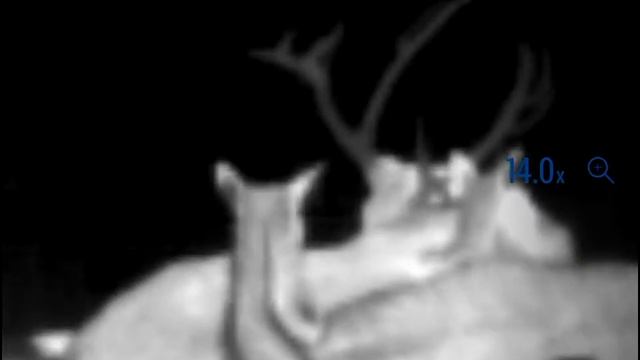 Pulsar Axion XQ38 Thermal Imaging Spotter (2020 model) смотреть онлайн