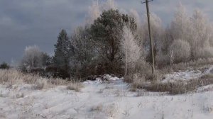 Классическое тропление зайца-русака