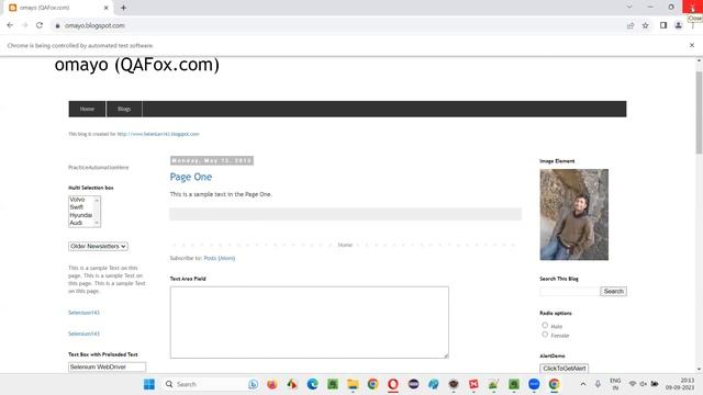 How To Open URL In Incognito Mode Using Selenium Java (Selenium Interview Question #602)