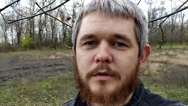 Собираем орехи смотреть онлайн