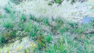 Очищающая медитация ✨⚡