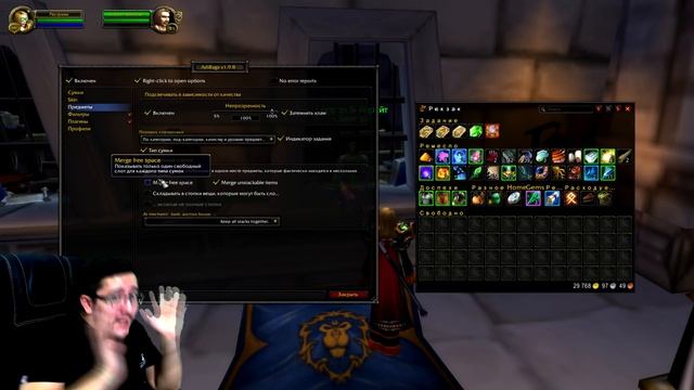 Аддон Аdibags Гайд и Настройка WoW