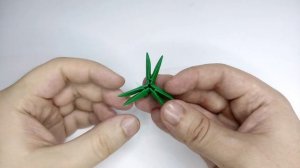 3D Origami CACTUS | How to make a modular cactus