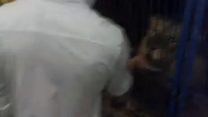 Рима Пенджиева и Андрей Черкасов.....ЭКСТРИМ