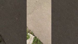 Мелекино первый спуск ,,Троянда,, Как мы отдыхали.!?