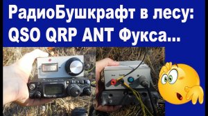 Радиобушкрат  QRP QSO ANT Фукса