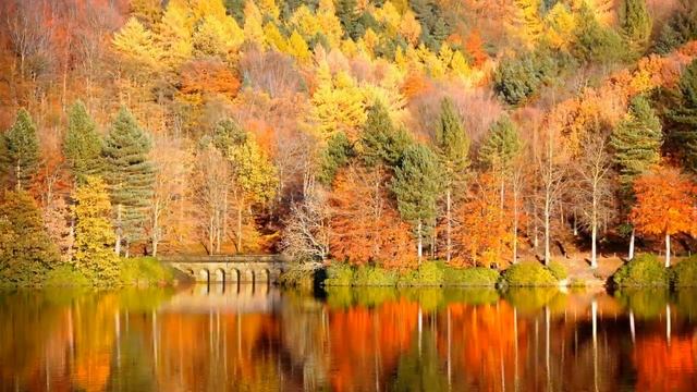 ОСЕНЬ. Музыка осени. Красивая осенняя мелодия любви без слов. Музыка дождя. Осенний танец (новинка!