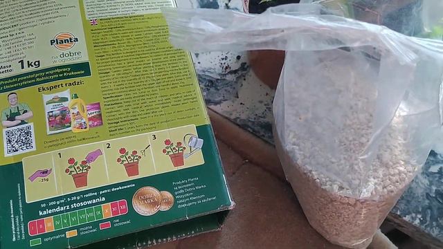 Колеуси і пеларгонії: догляд і підживленння весною.