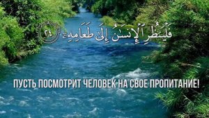 Красивое чтение Корана Сура 80 " 'Абаса" (Нахмурился) Чтец Саид Дубаха