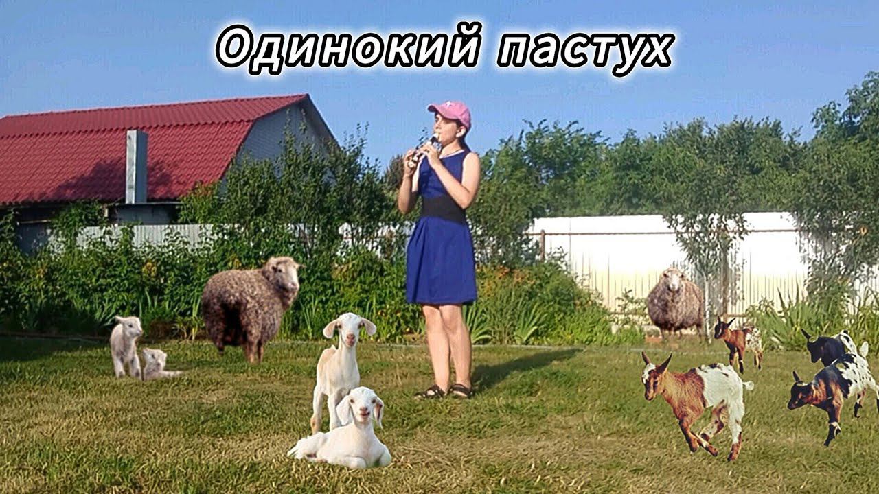 Одинокий пастух на блокфлейте / The lonely shepherd смотреть онлайн