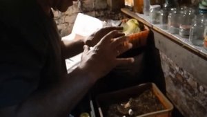 Как вырастить много белых грибов в подвале.Результат!