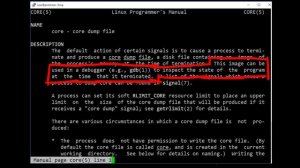 Linux signals and core dumps - bin 0x1C