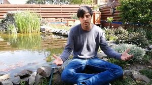 Цветение воды, нитчатка, водоросли. Экстренный выпуск.