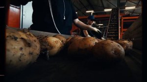 Группа компаний ИРРИКО / Имиджевый видеоролик