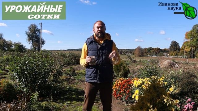 СУПЕРКЛЕЙ ДЛЯ ПОБЕЛКИ! Такая побелка продержится до весны!  Муцин на службе садовода!