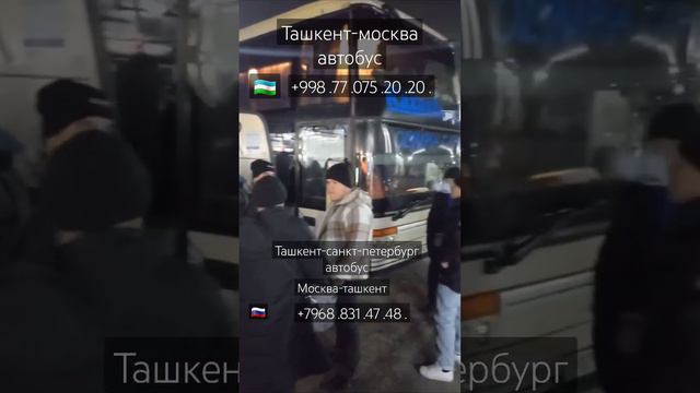 ташкент-москва автобус ташкент-санкт-петербург автобус москва-ташкент автобус 29.01.2024.г