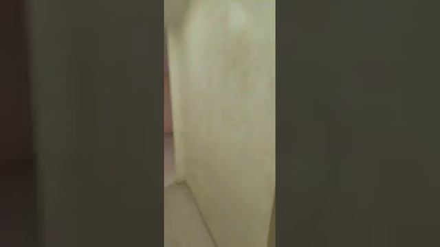 Ремонт 3-х комнатной квартиры под ключ на Петра Ильичева смотреть онлайн