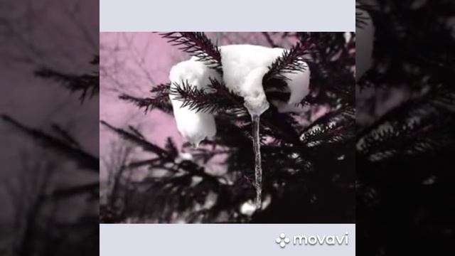 МБДОУ-181, дистанционное муз.занятие для старших дошкольников "В мире музыки " смотреть онлайн