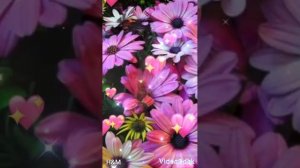 С днём рождения, Надежда! Музыкальная открытка.