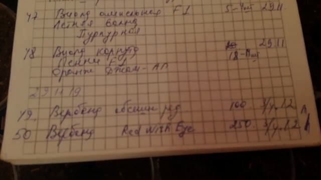 ВЕРБЕНА. Пикировка (часть 6) 14.01.20 смотреть онлайн