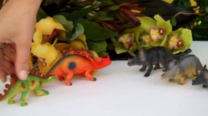 Яйцо и динозавры в долине цветов. Мультик про динозавров