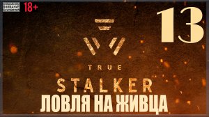 ☢ True Stalker | S.T.A.L.K.E.R. CoP mod #13 Ловля на живца