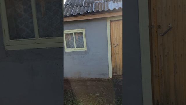 На даче веранду начали строить #сад #дача #огород #саддачаогород #сад2024 #дача2024 #огород2024 #сад