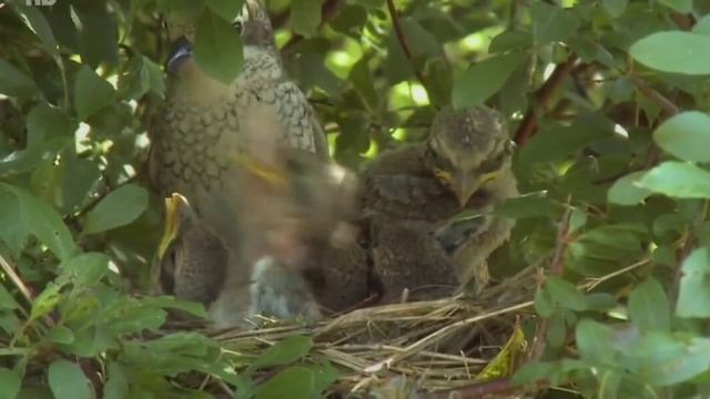 В ожидании весны... смотреть онлайн