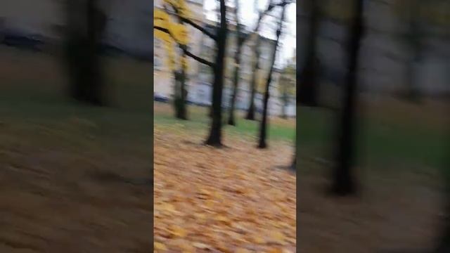 Что интересного и полезного в парке Кракова? #парк #интересно #полезно смотреть онлайн