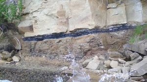 МЕЛ-ПАЛЕОГЕНОВАЯ ГРАНИЦА  в Иркутске- по всему миру отметилась 65 миллионов лет назад  упал метеори