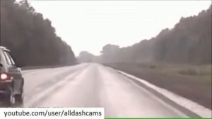 Russian Deer Crashes Car