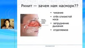 Почему важно дышать носом?