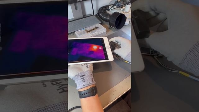 Thermal camera on an iPhone showing no signs of life. смотреть онлайн