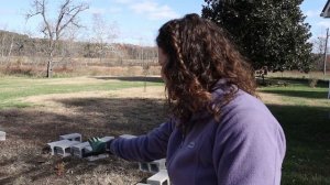 How-To: CHEAP, DURABLE CONCRETE RAISED BED