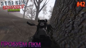 ПРОБУЕМ ПКМ | STALKER ANOMALY GAMMA | Серия 42