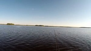 Ловим судака, щуку и окуня на дорожку. Fishing for walleye, pike and perch.