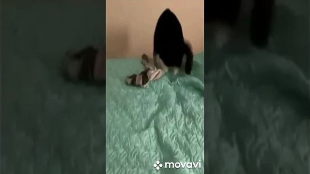 Позитивные пожелания