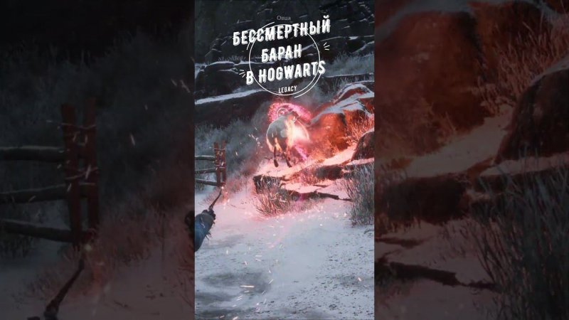 Бессмертный Баран Shorts в Hogwarts Legacy