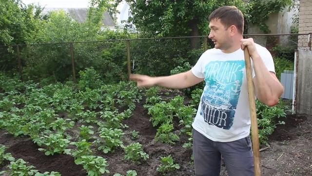 Как окучивать картошку вручную тяпкой: мастер класс