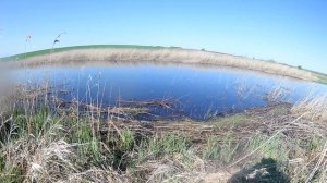 Ловля щуки на свимбейты.Первые шаги