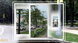 #ВладимирБеспрозванный# ТОПОЛИНАЯ ПУРГА