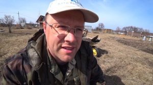 Прострел многолетний. Садовый подснежник