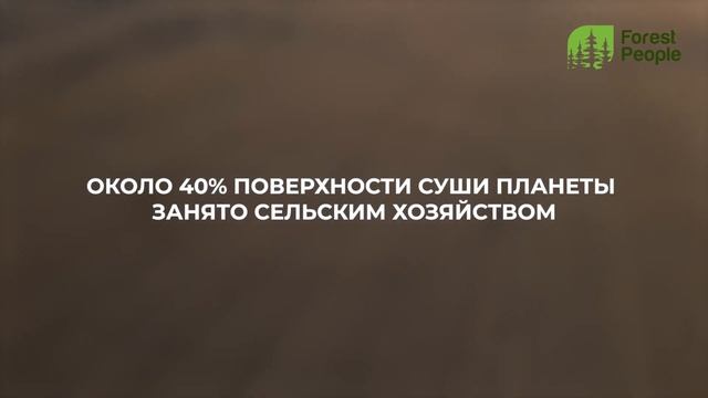 Демографический кризис и экология. смотреть онлайн