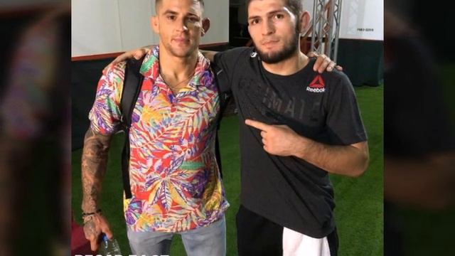НОВАЯ ПЕСНЯ ПРО ХАБИБА 2019 ИСЛАМ ЗУБАЙРА ХАБИБ В АБУ ДАБИ ufc 242