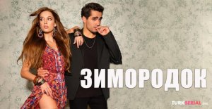 Зимородок