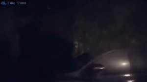 Это Россия Детка! Русские и Не только приколы! Подборка приколов!