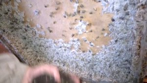 Производство огневки у Максима Пчеловека