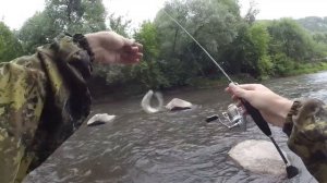 Мормышинг на реке. Nisus Mormo Stick. Охота на ельца.