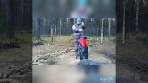 садовый измельчитель Einhell GC-KS 2540